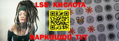спиды Обь